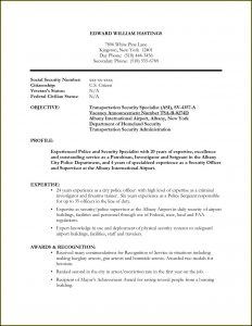 Sample Resume For Security Guard Pdf