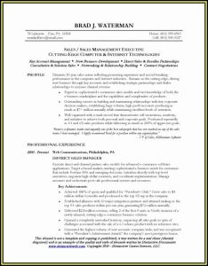 Sample Resumes For Sales Executives