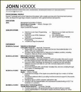 Sample Salesforce Resumes