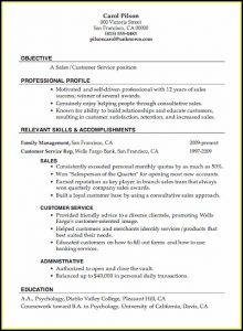 Samples Of Resumes For Customer Service