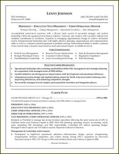 Senior Executive Resume Template Free