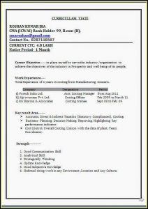 Standard Resume Format Doc Download