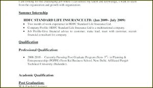 Standard Resume Format For Freshers Free Download Doc