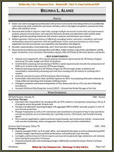 Top Professional Resume Writers