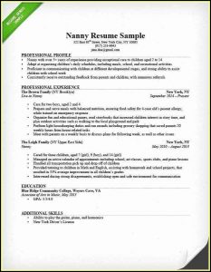 Top Rated Resume Templates