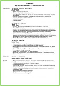 Vet Tech Resume Templates