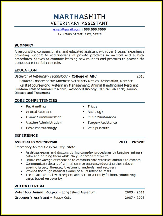 Veterinary Assistant Resume Template