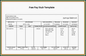 Free Printable Check Stubs Template