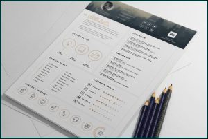 Free Stylish Resume Templates