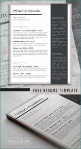 Free Stylish Resume Templates Free Download