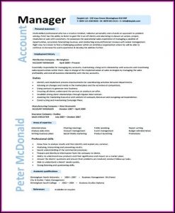 Accounts Payable Executive Resume Format