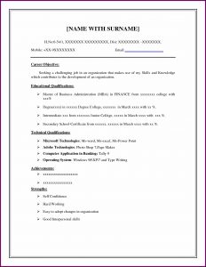 Basic Resume Template Printable