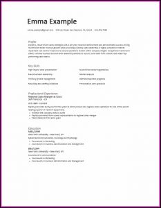 Best Free Simple Resume Builder