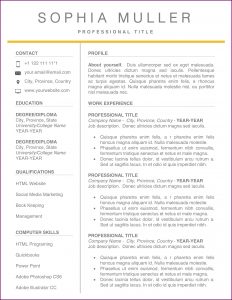 Classic Cv Template Word