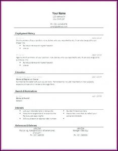 Classic Resume Template Word Download