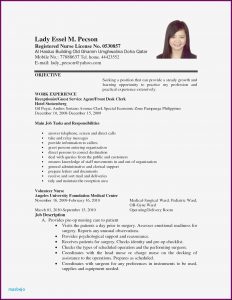 Copyable Resume Templates