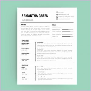 Curriculum Vitae Template Editable