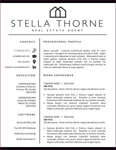 Cv Template Real Estate Agent