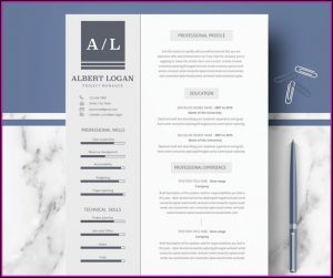 Cv Templates For Ms Word