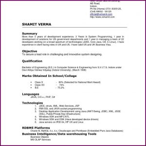 Examples Of Good Resume Templates