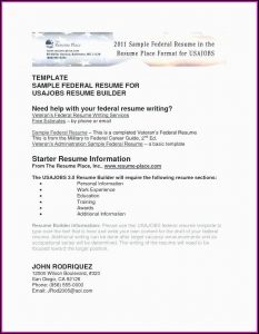 Examples Of Military Resume To Civilian