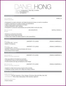 Examples Of Professional Resume Templates