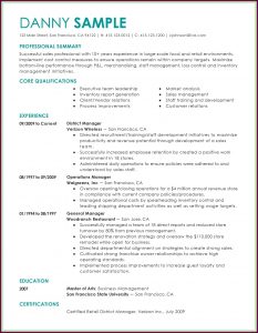 Executive Cv Builder