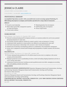 Executive Resume Builder Online