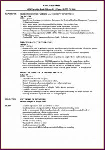 Facilities Director Resume Templates