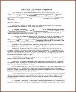 Seller Financing Business Contract Template