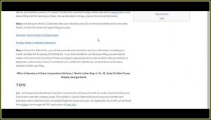Starting An Llc In Georgia