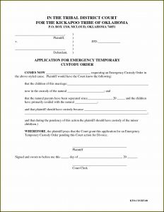 Temporary Child Custody Forms