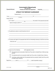 Temporary Child Custody Forms Texas