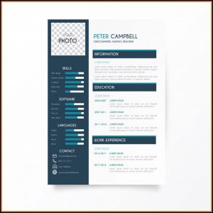 Traditional Resume Template Free Download