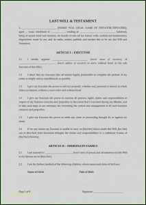 Executor Of Estate Form Pdf