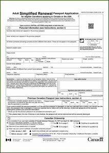 Forms To Renew Passport