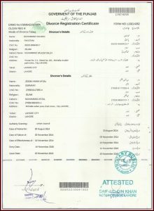 Auckland City Council District Plan Maps