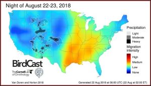 Bird Migration Map North America 2019