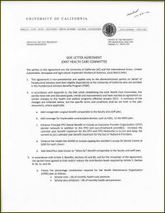 Caregiver Agreement Sample California