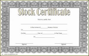Certificate Of Increase Of Capital Stock Template