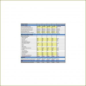 Chiropractic Marketing Plan Template