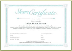 Company Share Certificate Template Free Download