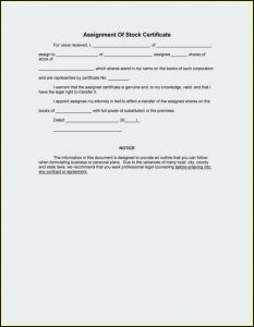 Company Share Certificate Template South Africa