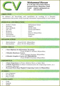 Cv Format Templates Free Download