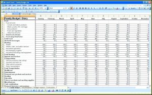 Daily Expenses Record Excel Template