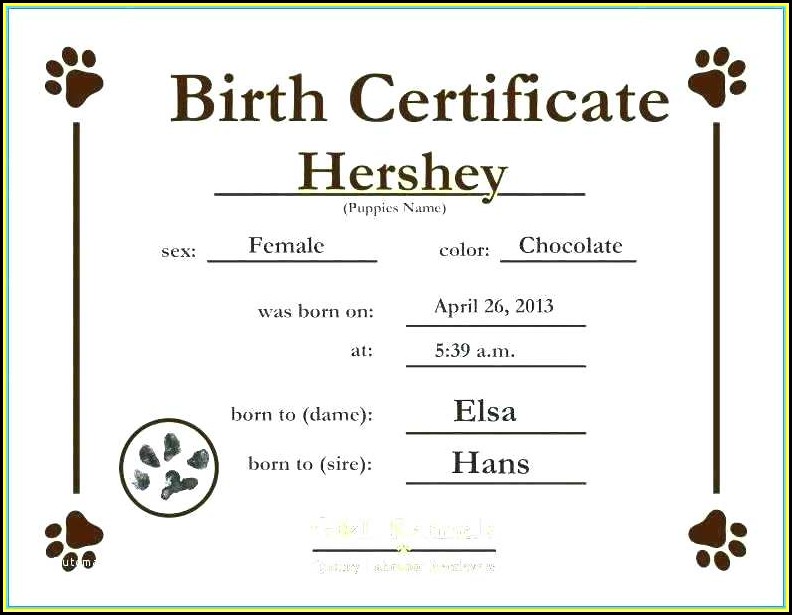 Fake California Birth Certificate Template