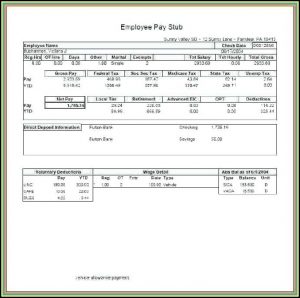 Fake Pay Stubs Templates Free