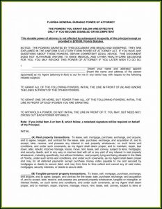 Free Blank Power Of Attorney Form Florida