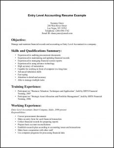 Free Entry Level Resume Templates