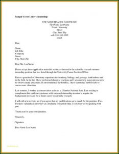 Free Examples Of Resumes And Cover Letters